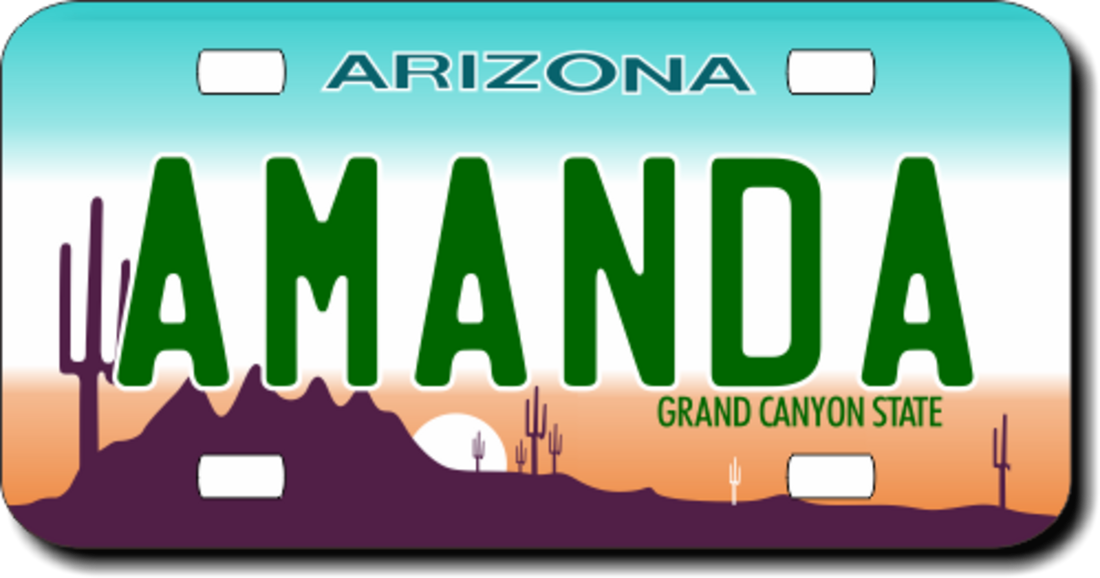 Personalized Arizona License Plate for Bicycles, Kid's Bikes, Carts