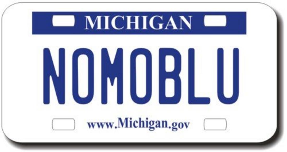 Personalized Michigan License Plate for Bicycles, Kid's Bikes, Carts