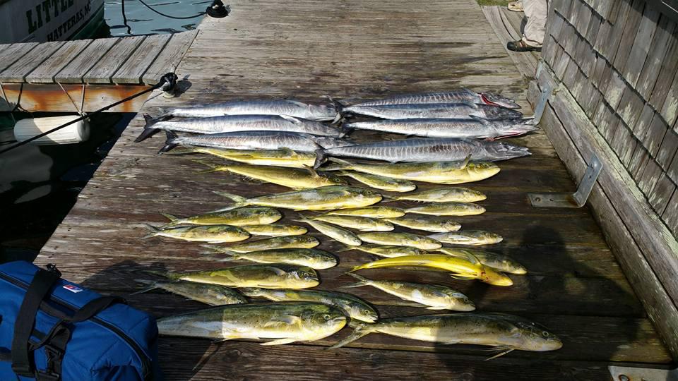 Hatteras Fishing Report 8/24/2015