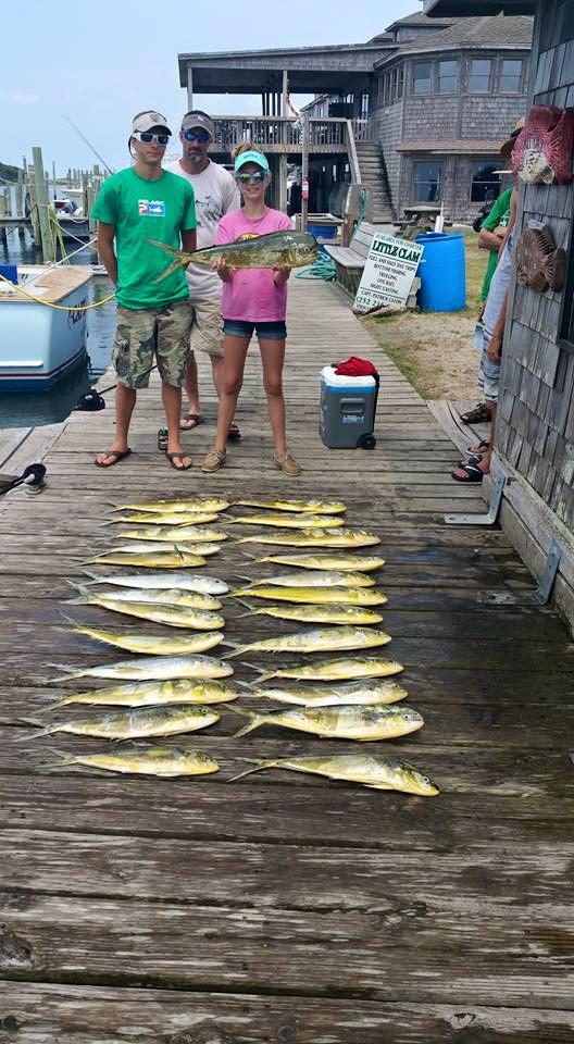 Hatteras Fishing Report 6/25/2015
