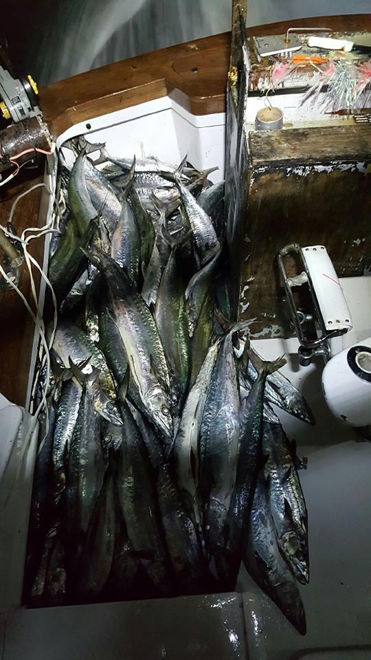 11/02/2016 Hatteras Fishing Report