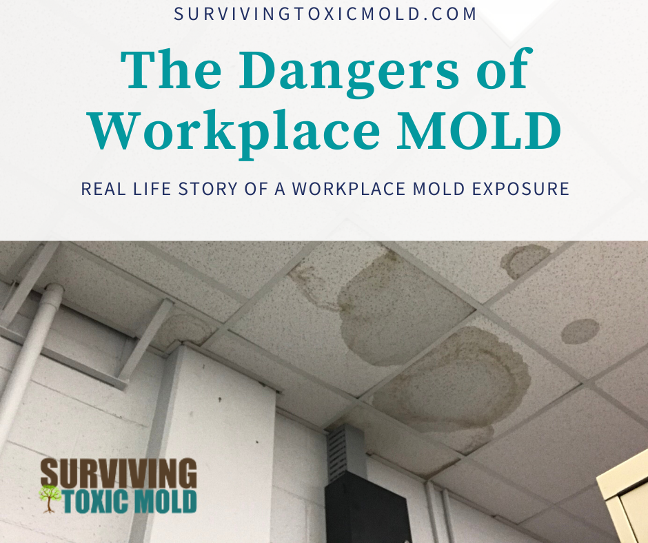 Beth, Simsonvillle - SC (Workplace Mold)