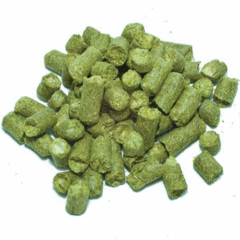 Close-up of Cascade hops with vibrant green cones, known for their distinctive floral and citrus aro