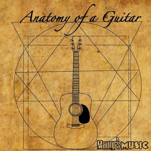 Maury's Music Lessons: Anatomy of an Acoustic Guitar