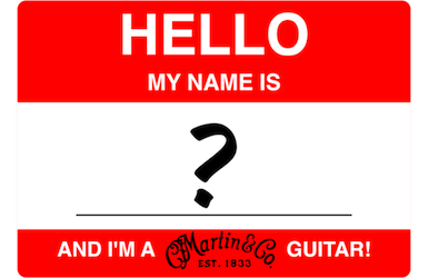 Naming a Martin Guitar