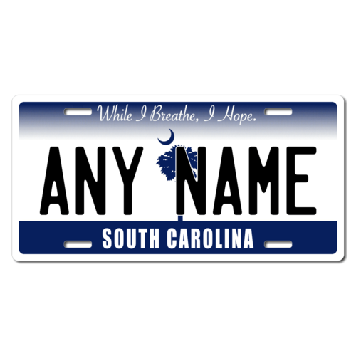 Personalized South Carolina License Plate for Bicycles, Kid's Bikes, Carts, Cars or Trucks