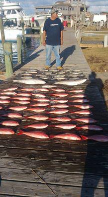 Outer Banks Fishing Report for 10/20/2016