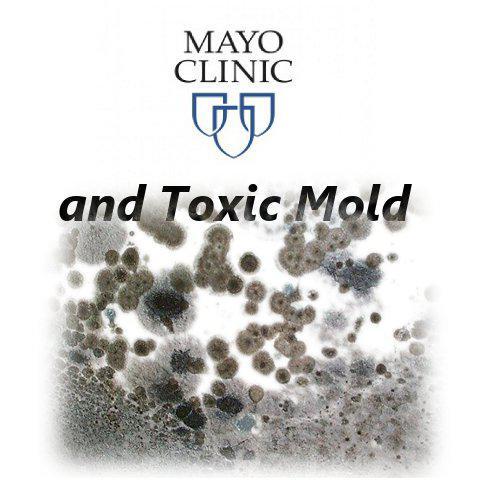 Mayo Clinic to finally recognize Mold as a Toxicity and not just an allergy!!