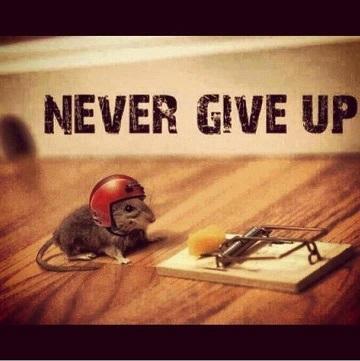 Don't Give Up