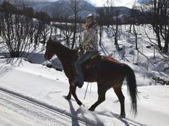 Snowy Horseback Riding