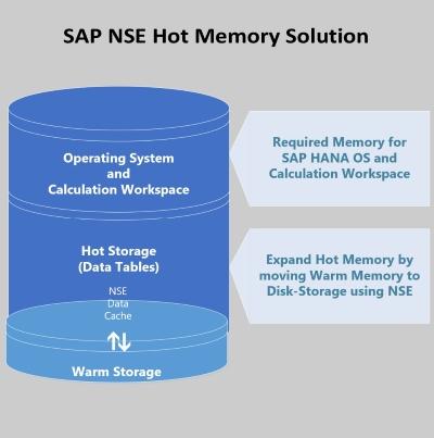 Managing Multi-Temperature Data using SAP HANA NSE