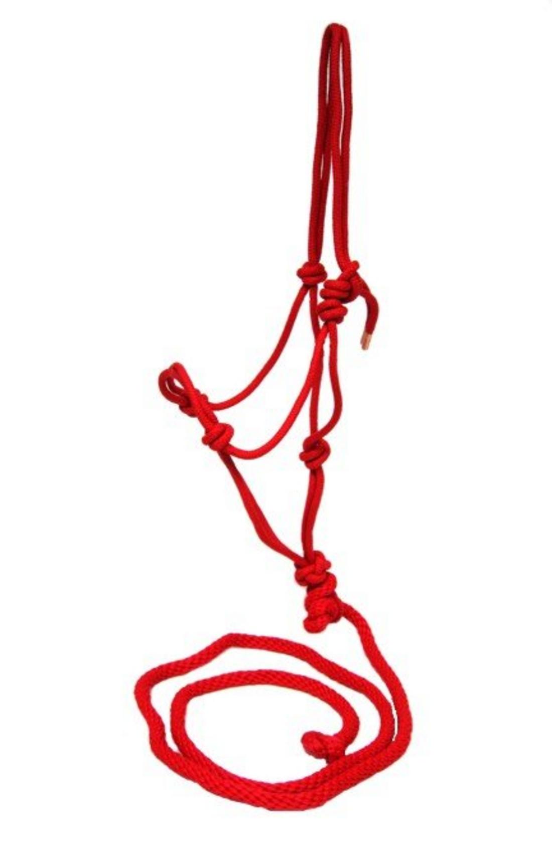 Tennessean Saddles Poly Rope Halter w/Lead