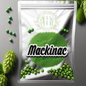 Mackinac hops: highlighting their large, aromatic cones known for imparting a unique blend of tropic