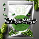 Michigan Copper hops, known for imparting a unique blend of floral, citrus, and spice flavors, popul