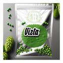 Vista Hops with vibrant green cones, known for their distinctive floral and citrus aroma