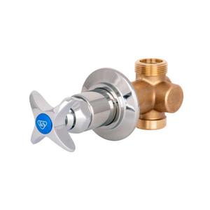 T&S Brass B-1025-1 Concealed Straight Valve 4-Arm Handle Hot Index 1/2-Inch Female Inlet and Outlet 