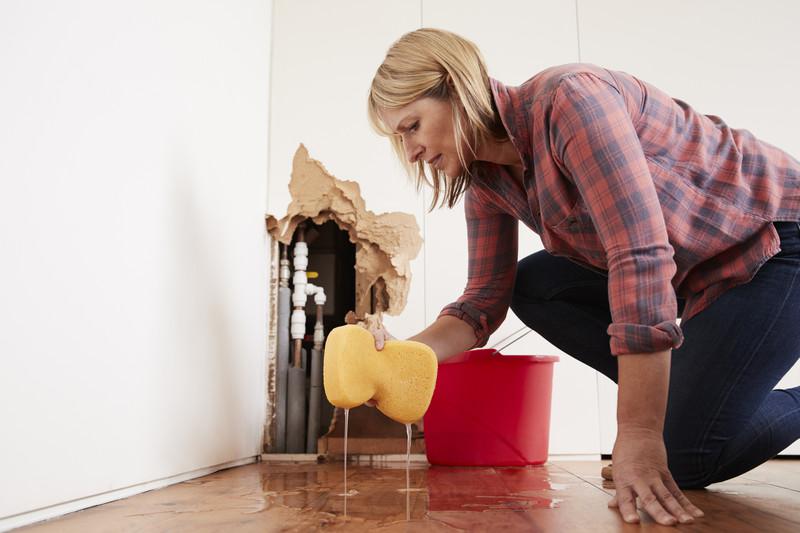 What Should You Do When You Find Water Damage?