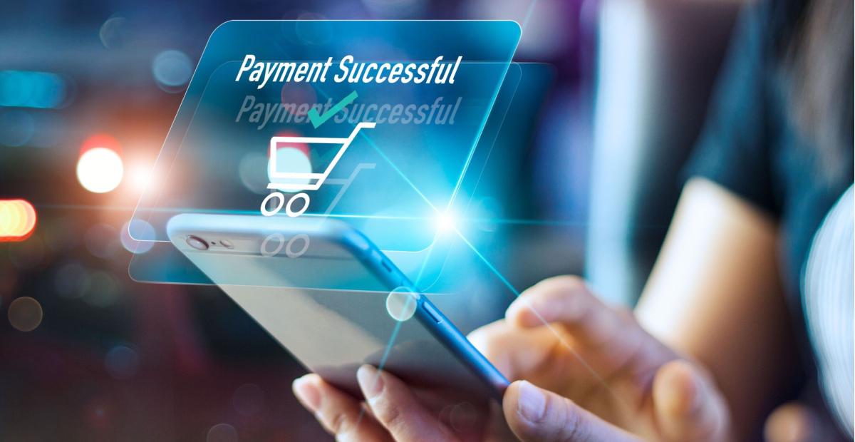 Starting an Online Payment Processing Business