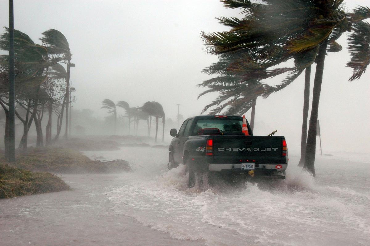 PROTECTING YOUR BUSINESS VEHICLES FROM HURRICANE DAMAGE