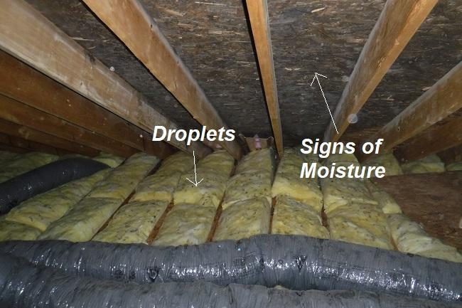 Black Mold on Attic Side of Roof Plywood