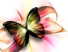 It's Time to Blossom!